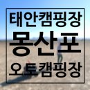 몽산포오토캠핑장 | 태안 몽산포오토캠핑장 1구역, 태안 선착순 갯벌체험 캠핑장 후기