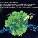 가위소리 이미지