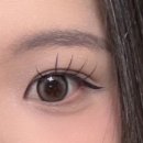 포베오 | 미문도 포베오 녹스그레이 후기 원데이 그레이렌즈 추천