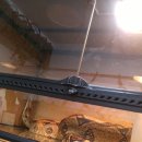 펫스토어1004 이미지