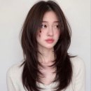 수지앤아티크 | [문정동 미용실 추천] 문정동 여자 레이어드컷 추천 (아티크레 아티스틱 문정점, 2026여자머리 추천)