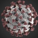 씨유전주만성주공점 | 2025년 가을, 3중 감염병 경고!