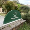 SunnySideUp(써니사이드업) 이미지