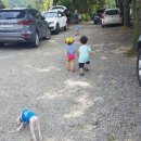 우래골 대추나무 농원 이미지