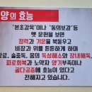 성원정양대창사상점 이미지