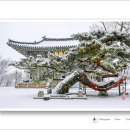 단호사 - 383 | 단호사