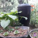 백설공주 팬션 이미지