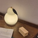 진안안경원 | 촘촘한 일상