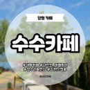 [양평] 북한강카페 |수수카페| 물과나무 양수리산책 마음토닥길 주차 내돈내산 후기