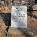 월산대군 이정태실 Daum카페