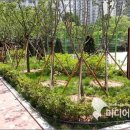 인천부현동초 이미지