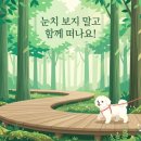 양평 피오레 감성 힐링 스파 펜션 | [강아지 동반 여행] 초여름 펫트래블 완벽 가이드! 반려견 동반 숲길 명소와 실패 없는 애견 숙소...