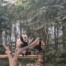 힐링 그리고 하루 | [에버랜드] 주말에 다녀온 힐링 가득 하루 코스 후기