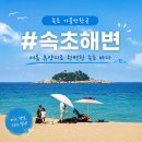 평화모터랜드 | 속초 여행 속초아이 대관람차 요금 여름 휴양지 속초해변