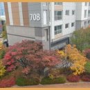 더좋은힐스공인중개사사무소 이미지