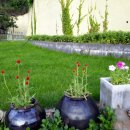 아미족발 이미지