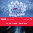SAC ON SCREEN 발레 호두까기인형 이미지