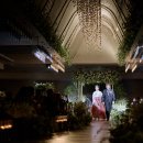 아이올라 이미지