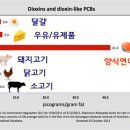 가두리푸드