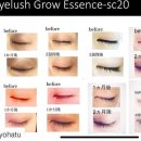 그로우속눈썹 이미지