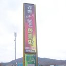 소나무불한증막 이미지