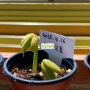 내러티브 | [후기]그림책 내러티브 워크샵(1)기초반 등록, 이야기 씨앗