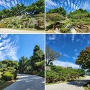 부산시민공원 문화예술촌(남/녀) | [부산/수영구]모모스커피 도모헌점