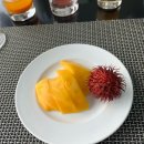 다낭 풀만리조트 후기 - 미케비치 근처 가성비 리조트