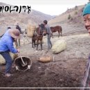 신의 젖줄 이미지