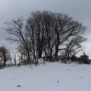 상산목장 이미지