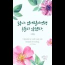 오늘의 '신앙 명언'(123강) 방지일(Ji-il Bang) 이미지