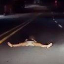 [영상] 도로 위 갑자기 나타난 ‘쩍벌女’...“이리와봐” 호통까지 이미지