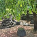 벌교꼬막정식 이미지