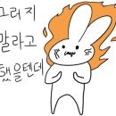 댕댕이 주전부리 이미지