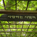 경기 광주 가볼만한 화담숲 후기(모노레일 예약 꿀팁)