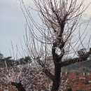 가산식물원 이미지