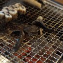 싱싱민물장어세상 이미지