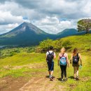 LOVELY DAY'S GROOMING 이미지