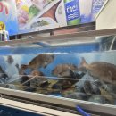 남포물회 | 부산송도횟집 남포횟집 방문 후기, 부산송도해수욕장맛집 인정!