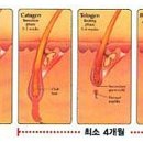 송탄베스트의원 이미지