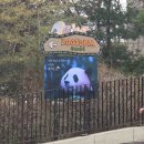 힐링랜드버스주차장 화장실 | 에버랜드 로스트 밸리 워킹 사파리 투어 동물원 교감 굿즈 기념품 후기