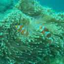 꼬기꼬기 이미지