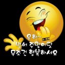 즐거운 Daum카페