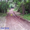 영림목장 이미지