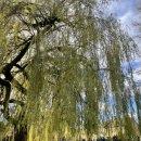 영국마을 | 영국 코츠월드 자유여행 코스 총정리 버스·비용·동선 완벽 정리