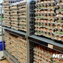 자정농장 이미지