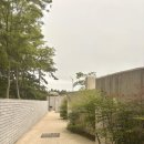 하얀나무펜션 | 고창 여행 숙소 | 감성 가득한 독채 풀빌라 오로시 펜션 내돈내산 후기
