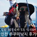 초보 인천쭈꾸미낚시 오후 낚시배 체험 후기