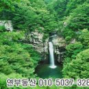 장선보건진료소 이미지