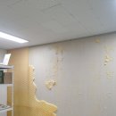 여수울로 29번길 이미지